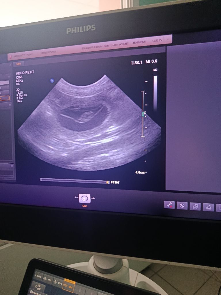 Un magnifique mariage confirmé